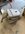 IMG_8768.jpeg