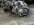 IMG_7972.jpeg