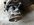 IMG_7973.jpeg