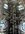 IMG_0533.jpeg