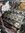 IMG_0684.jpeg
