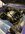 IMG_9235.jpeg