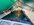 IMG_7953.jpeg