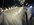 IMG_7960.jpeg
