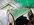 IMG_7966.jpeg