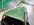 IMG_7969.jpeg