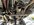 IMG_3689.jpeg