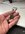 IMG_9237.jpeg