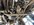 IMG_3693.jpeg