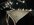 IMG_7982.jpeg