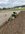 IMG_7329.jpeg