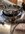 IMG_7062.jpeg