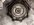 IMG_7078.jpeg