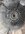 IMG_7099.jpeg