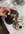 IMG_7102.jpeg