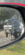 IMG_2760.png