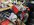 IMG_8121.jpeg