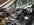 IMG_2655.jpeg