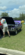 IMG_2888.png