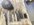 IMG_8846.jpeg