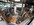 IMG_7345.jpeg