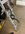 IMG_9259.jpeg