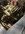 IMG_9260.jpeg