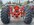 IMG_7362.jpeg