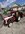IMG_7371.jpeg