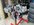 IMG_8159.jpeg