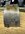IMG_0924.jpeg