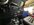 IMG_2367.jpeg