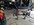 IMG_2359.jpeg