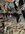 IMG_4346.jpeg