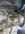 IMG_6402.jpeg