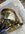 IMG_0976.jpeg
