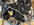 IMG_3036.jpeg