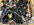 IMG_3035.jpeg