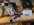 IMG_8009.jpeg