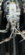 IMG_6699.png