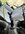 IMG_6916.jpeg