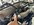 IMG_7492.jpeg