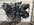 IMG_7464.jpeg