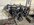 IMG_7466.jpeg