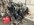 IMG_7468.jpeg
