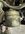 IMG_7465.jpeg
