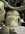 IMG_7400.jpeg