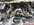 IMG_6921.jpeg