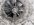 IMG_6931.jpeg