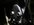IMG_7131.jpeg